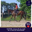4 ans env 1m66 mental en or
