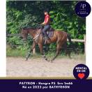 4 ans env 1m66 mental en or