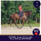 4 ans env 1m66 mental en or