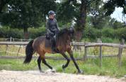 Jument dressage competition 7 ans