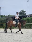 Jument 4 ans CSO ou Eventing