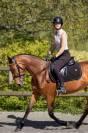 Jument 4 ans CSO ou Eventing