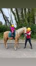 Superbe poney E / petit cheval polyvalent pour loisir