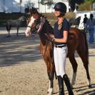 A VENDRE PFS DE 2 ANS CHAMPION DE FRANCE