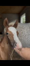 Ponette 9 ans 