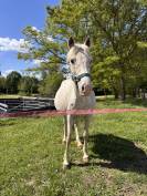 Ponette 9 ans 