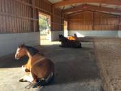 Pension en &eacute;curie active 