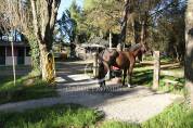 Bonita residencia ecuestre En venta Gard