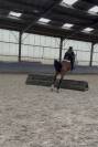 Jument 4 ans - BWP