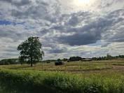 Propri&eacute;t&eacute; &eacute;questre de caract&egrave;re sur plus de 5 hectares  S
