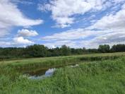 Propri&eacute;t&eacute; &eacute;questre de caract&egrave;re sur plus de 5 hectares  S