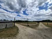 Propri&eacute;t&eacute; &eacute;questre de caract&egrave;re sur plus de 5 hectares  S