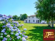 Equestrian property  Ain