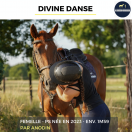 DIVINE DANSE - PS - 3 ANS