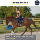 DIVINE DANSE - PS - 3 ANS