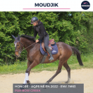 MOUDJIK - AQPS - 4 ANS