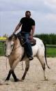PENSION CHEVAL - 2 PLACES DISPO