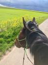 Lunderthaker adorable trotteur de 5ans