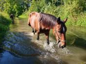 Lunderthaker adorable trotteur de 5ans