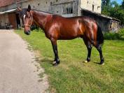Lunderthaker adorable trotteur de 5ans