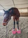 Lunderthaker adorable trotteur de 5ans
