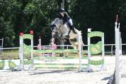 Poney de sport 6 ans 