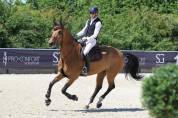 Hongre de Grand Prix 