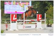 Jument 2 ans Pie baie