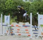 Super Poney D de concours 