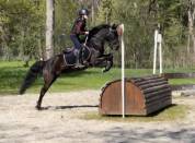 Super Poney D de concours 