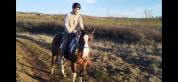 Jument paint horse 4 ans 