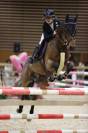 PONEY GRAND PRIX &Agrave; VENDRE 