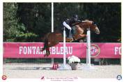 Ponette PFS &agrave; vendre