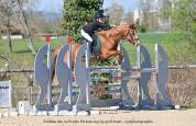 Ponette PFS &agrave; vendre