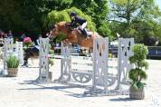 Ponette PFS &agrave; vendre