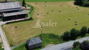 Propri&eacute;t&eacute; d'&eacute;levage d'environ 113,5 ha sur le Plateau de Mill