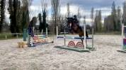 Cheval de sport