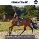 MADAME MARIE - PS - 9 ANS