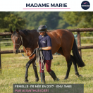 MADAME MARIE - PS - 9 ANS