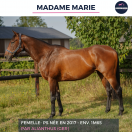 MADAME MARIE - PS - 9 ANS