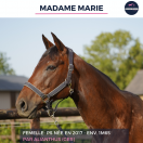 MADAME MARIE - PS - 9 ANS