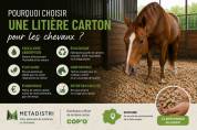 Liti&egrave;re copeaux carton pour chevaux - COP'O