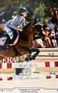 A vendre - Poney sport CSO - 10 ans