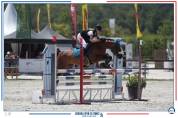 A vendre - Poney sport CSO - 10 ans