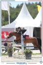 A vendre - Poney sport CSO - 10 ans