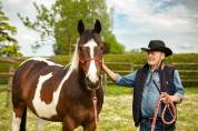 JUMENT PAINT HORSE