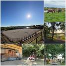 Pension chevaux &ndash; Box & Pr&eacute; &mdash; &Eacute;curie de Baillac 