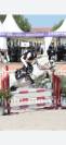 PONETTE B