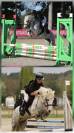 PONETTE B