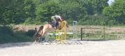 Ponette PFS C de 6 ans